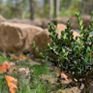 Meet your Posher, Kylie